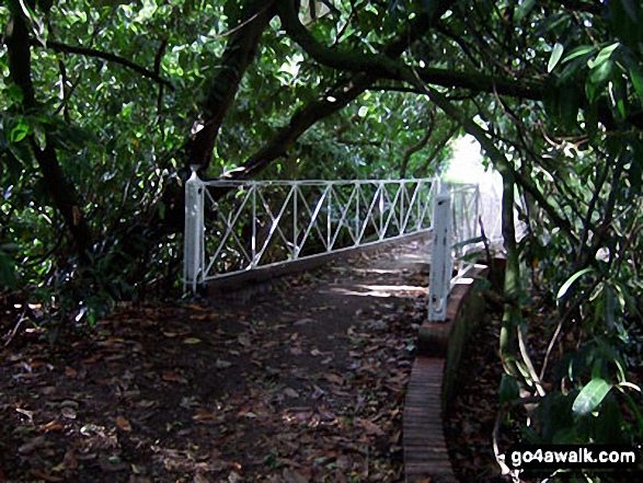 Walk su131 Godstone from Bletchingley - Bridge at Glebe Water near Godstone