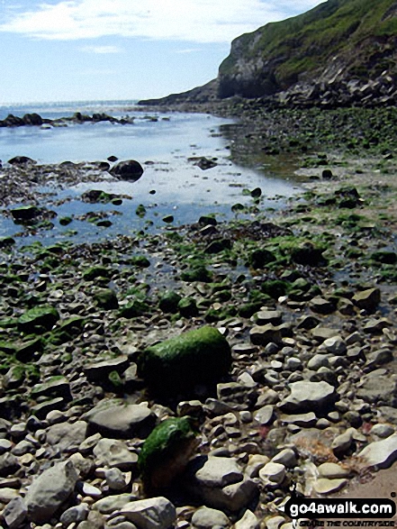 Walk do126 Ringstead Bay, Durdle Door and The Jurassic Coast from Lulworth Cove - Lulworth Cove