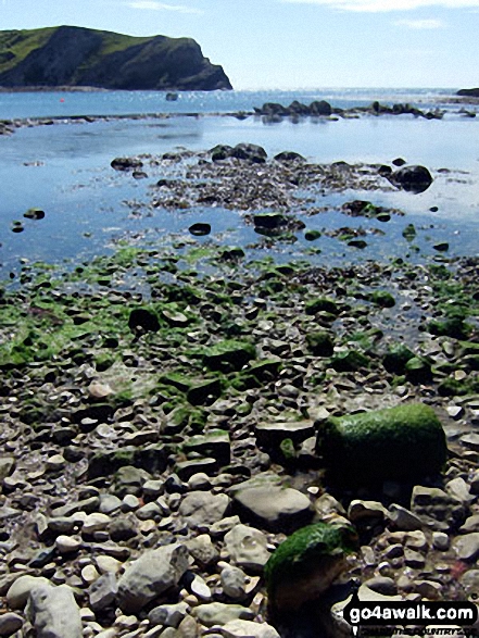 Walk do126 Ringstead Bay, Durdle Door and The Jurassic Coast from Lulworth Cove - Lulworth Cove