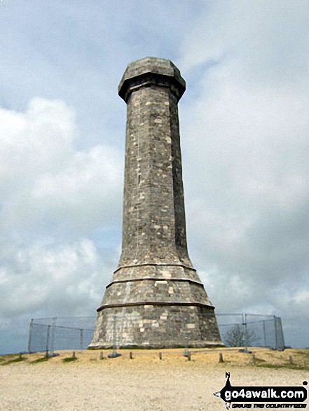 Walk do105 Black Down (Hardy Monument) via Corton Down from Winterbourne St Martin, Martinstown - Black Down (Hardy Monument) summit tower