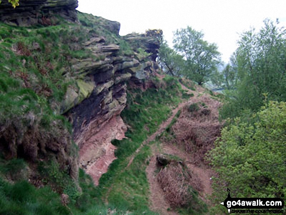 Walk ch110 Helsby Hill and The Sandstone Trail from Frodsham - The Sandstone Trail on Helsby Hill