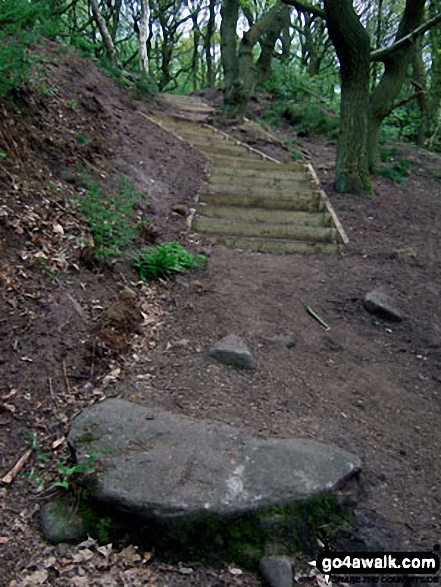 The Sandstone Trail on Woodhouse Hill 