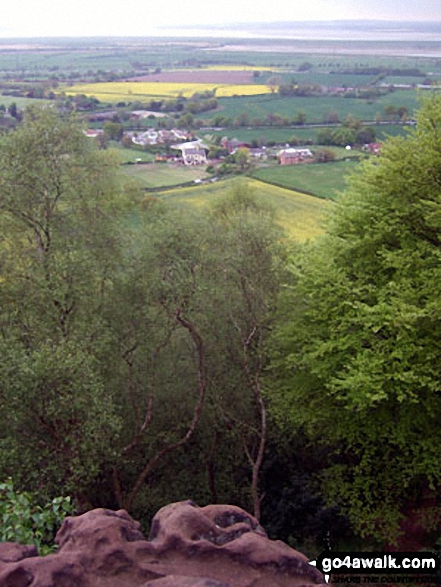 Walk ch110 Helsby Hill and The Sandstone Trail from Frodsham - The Cheshire Plain from Woodhouse Hill