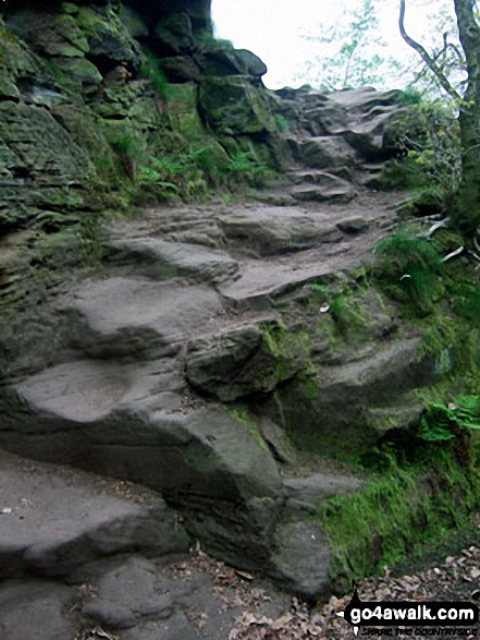 Walk ch110 Helsby Hill and The Sandstone Trail from Frodsham - Sandstone 'steps' in Woodhouse Hill Wood