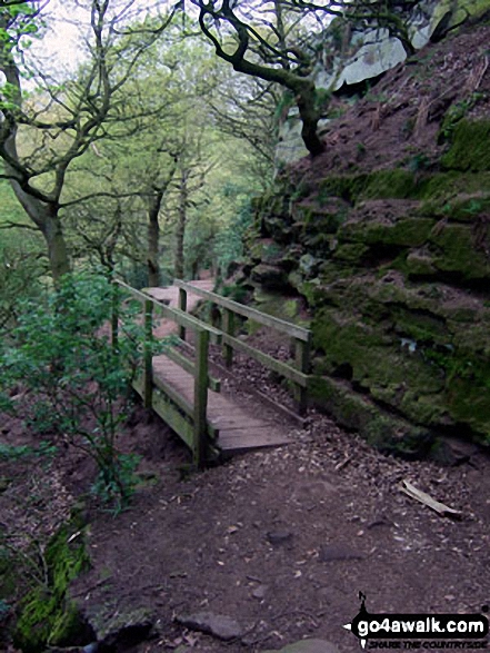 Walk ch110 Helsby Hill and The Sandstone Trail from Frodsham - The Sandstone Trail in Woodhouse Hill Wood