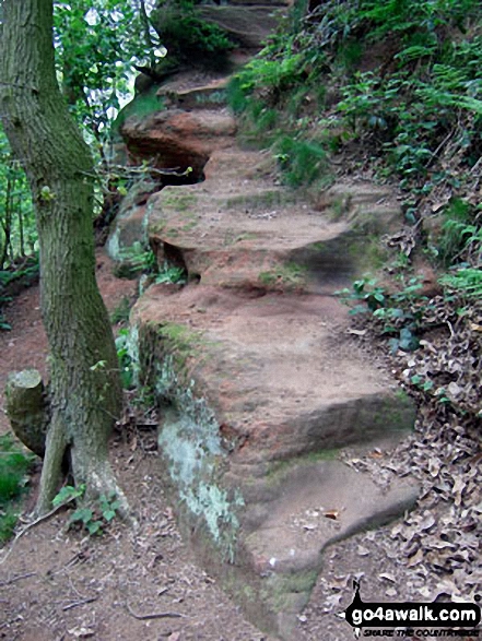 Walk ch110 Helsby Hill and The Sandstone Trail from Frodsham - Sandstone 'Steps' in Dunsdale Wood near Frodsham