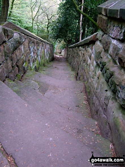 Walk ch110 Helsby Hill and The Sandstone Trail from Frodsham - The Sandstone Trail in Dunsdale Wood near Frodsham