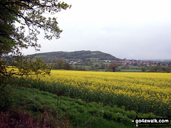 Helsby Hill from The Sandstone Trail in Dunsdale Wood near Frodsham