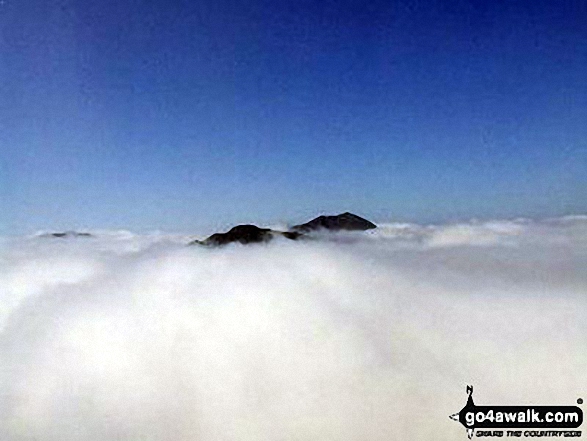 Walk ab121 Ben Vorlich (Arrochar Alps) from Inveruglas - The summits of Ben Vane (left) and Beinn Ime poking up through the clouds during a temperature inversion seen from Ben Vorlich (The Arrochar Alps)