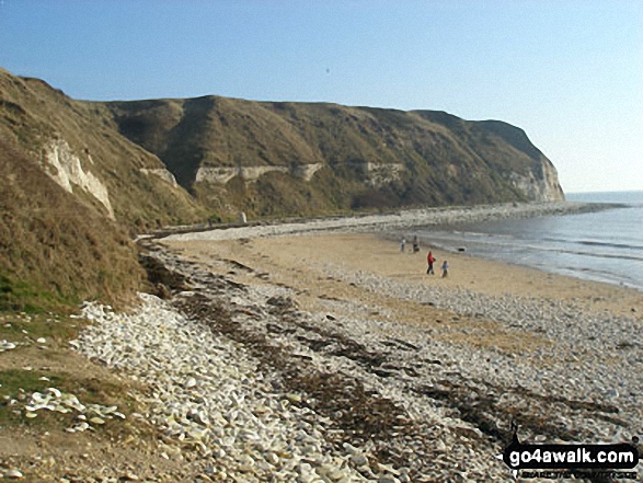 Walk ey112 Flamborough Head and North Landing from South Landing - South Landing Beach, Flamborough Head