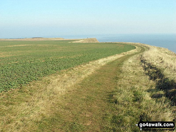 Walk ey112 Flamborough Head and North Landing from South Landing - The cliff top path north of South Landing, Flamborough Head