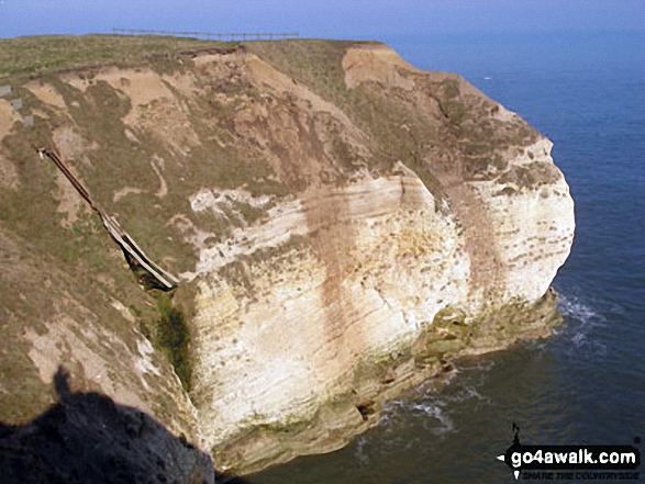 Walk ey112 Flamborough Head and North Landing from South Landing - The Cliffs Flamborough Head