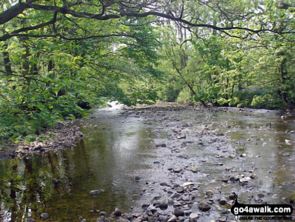 Walk l182 Clougha Pike from Abbeystead - Tarnbrook Wyre at Abbeystead