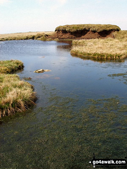 Pool on Mallowdale Pike (Mallowdale Fell) summit 