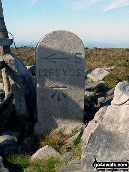 Walk l182 Clougha Pike from Abbeystead - Sighting Stone on Grit Fell