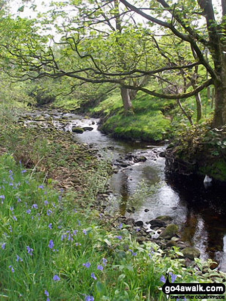 Walk l101 Wolfhole Crag, Mallowdale Pike and Clougha Pike from Abbeystead - Tarnbrook Wyre near Tarnbrook