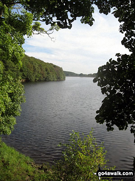 Walk l135 A circuit of Anglezarke Reservoir - Anglezarke Reservoir