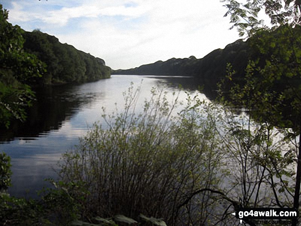 Walk l135 A circuit of Anglezarke Reservoir - Looking south down Anglezarke Reservoir