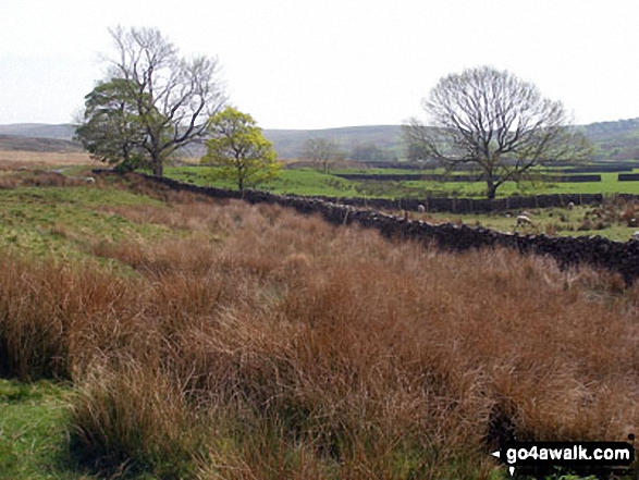 Walk l117 Mallowdale Pike and Ward's Stone from Abbeystead - White Moor from Backside of Tarnbrook Fell