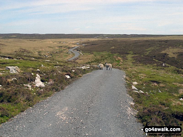 Walk l117 Mallowdale Pike and Ward's Stone from Abbeystead - Lonely Road on Tarnbrook Fell