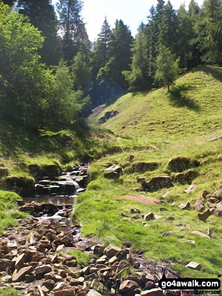 Walk c441 Flinty Fell from Nenthead - Dowgang Burn in Dowgang Hush