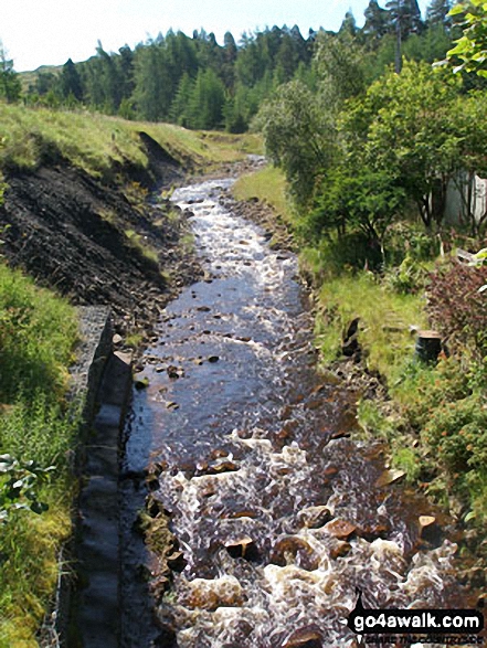 Walk c441 Flinty Fell from Nenthead - Old Carr's Burn at the bottom of Dowgang Hush