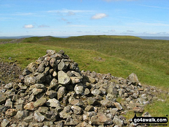 Walk c441 Flinty Fell from Nenthead - Cairn on Flinty Fell