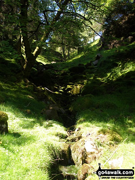 Walk c441 Flinty Fell from Nenthead - Dowgang Hush