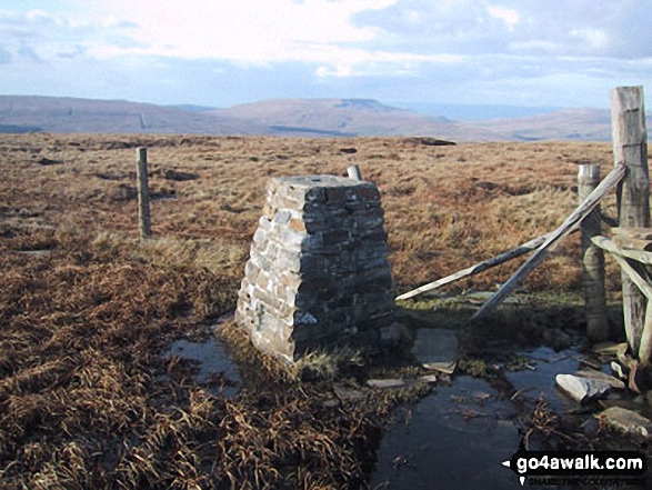 Walk c357 Aye Gill Pike, Snaizwold Fell and Great Knoutberry Hill from Dent - Great Knoutberry Hill (Widdale Fell) summit