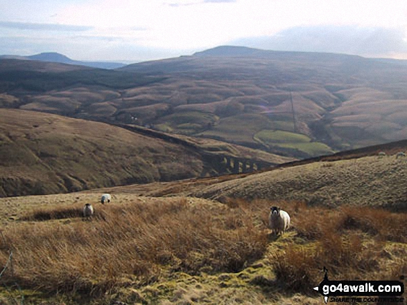 The Arten Gill Beck railway viaduct with Ingleborough (far left) and Whernside (centre) on the horizon from Great Knoutberry Hill (Widdale Fell) 