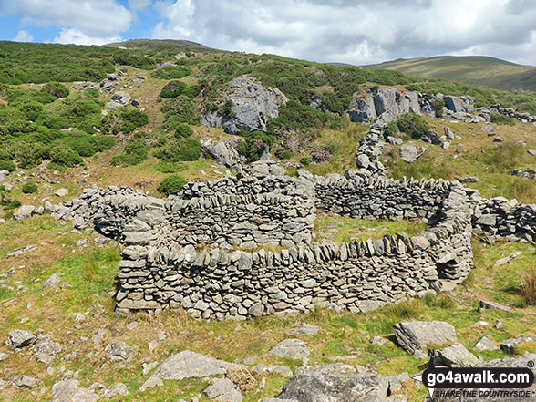 Walk gw160 Gyrn (Llanllechid) and Moel Wnion from Rachub - Sheepfold on the lower slopes of Moel Faban