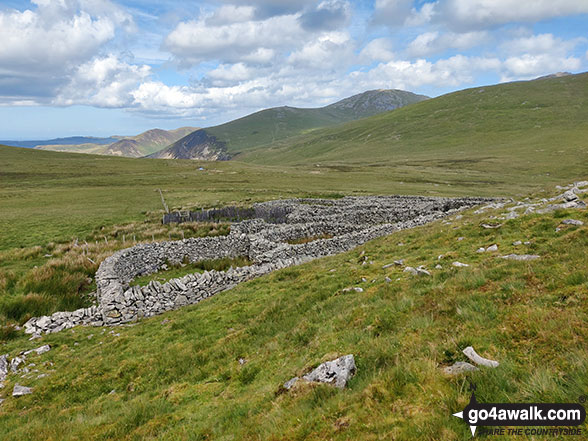 Sheepfold on the lower slopes of Gyrn (Llanllechid)