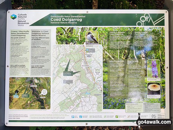 Walk gw160 Gyrn (Llanllechid) and Moel Wnion from Rachub - Information Board on the Water Treatment Works access road above Pont Dolgarrog