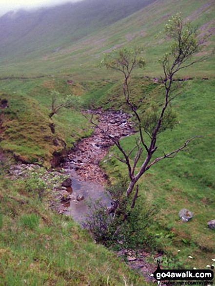 Walk h135 Stob Coire Raineach (Buachaille Etive Beag) and Buachaille Etive Beag (Stob Dubh) via Stob nan Cabar from The Pass of Glencoe - The River Coupall in Lairig Gartain