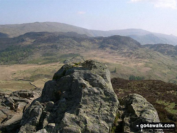 Walk c143 Brund Fell and King's How from Rosthwaite - The summit of Grange Fell (Brund Fell)