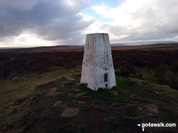 Totley Moor trig point 