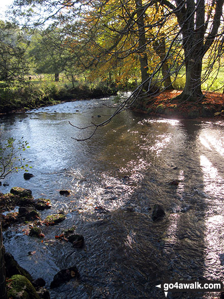 Walk s246 Milldale, The River Dove and Wolfscote Dale from Alstonefield - The River Dove in Beresford Dale