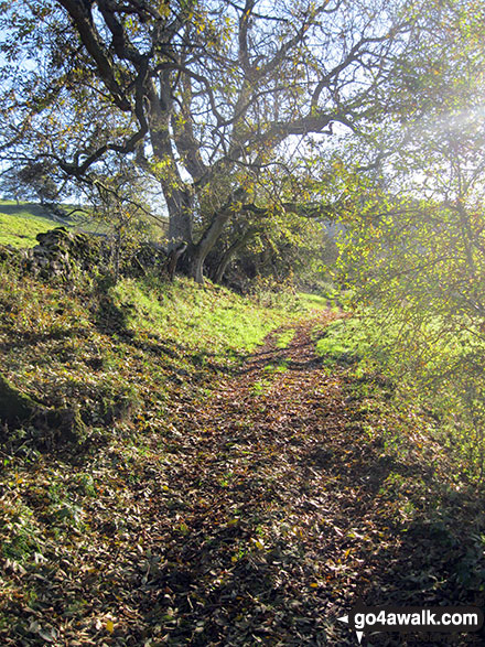 Walk d318 Beresford Dale, Alstonefield and Wolfescote Dale from Hartington - Footpath in Upper Wolfscote Dale