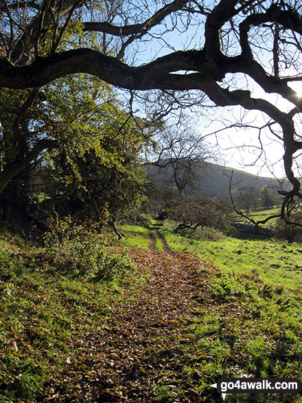 Footpath heading toward Narrowdale 