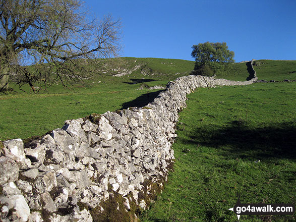 Walk s113 Milldale, Wolfscote Dale, Wolfscote Hill, Narrowdale Hill and Gratton Hill from Alstonefield - Dry Stone Wall in Narrowdale