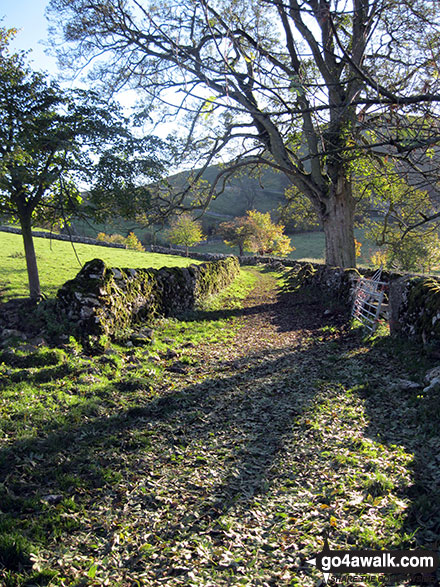 Walk s113 Milldale, Wolfscote Dale, Wolfscote Hill, Narrowdale Hill and Gratton Hill from Alstonefield - Footpath near Narrowdale