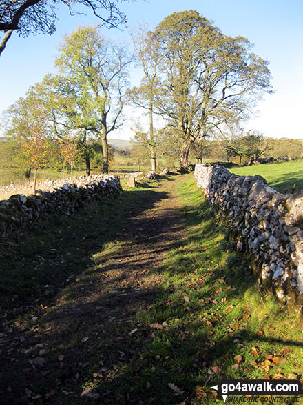 Walk s113 Milldale, Wolfscote Dale, Wolfscote Hill, Narrowdale Hill and Gratton Hill from Alstonefield - Footpath near Narrowdale