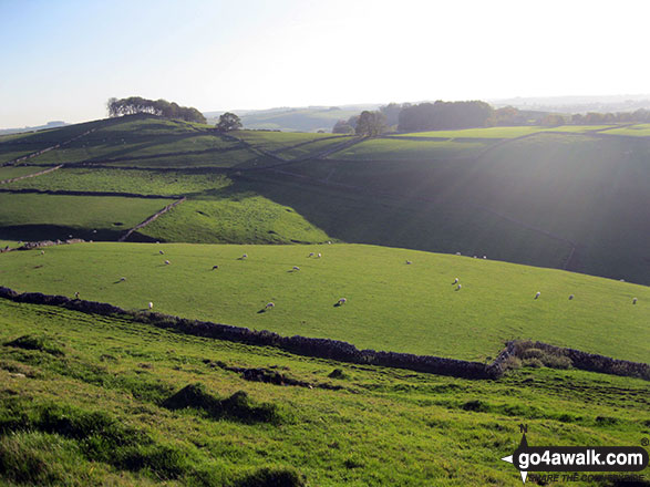 Walk s113 Milldale, Wolfscote Dale, Wolfscote Hill, Narrowdale Hill and Gratton Hill from Alstonefield - Narrowdale from Gratton Hill