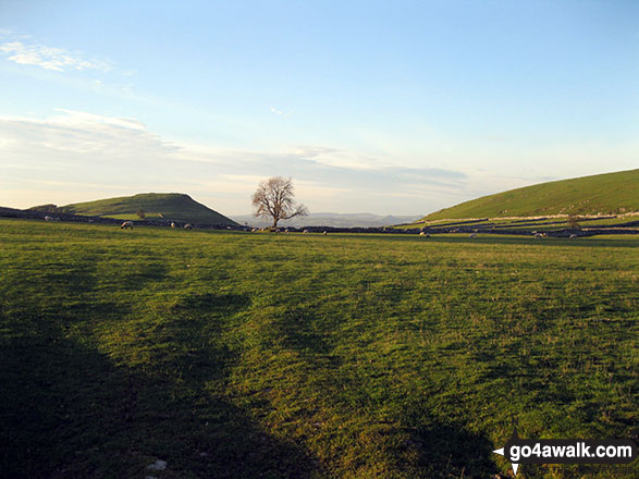 Narrowdale Hill (left) and the shoulder of Gratton Hill (right) from near Alstonefield