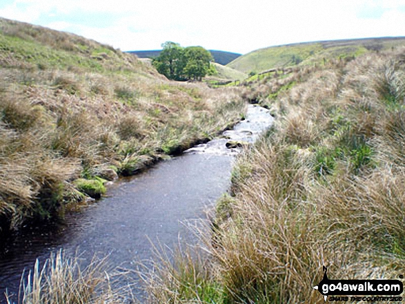 Walk ch252 Three Shires Head and Cheeks Hill from The Cat and Fiddle - The River Dane in Danebower Hollow