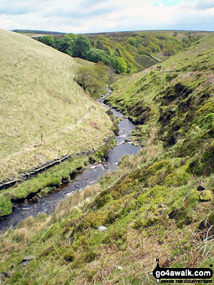 Walk ch252 Three Shires Head and Cheeks Hill from The Cat and Fiddle - The River Dane in Danebower Hollow near Three Shires Head