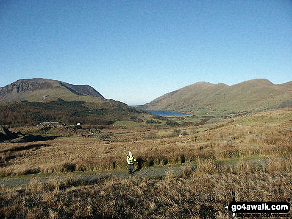 Walk gw164 The full Nantlle Ridge and Craig Cwm Silyn from Rhyd-Ddu - Mynydd Mawr (Llyn Cwellyn)  (left), Llyn Cwellyn, Moel Eilio (Llanberis) (right) and Foel Gron (far right) from the Rhyd Ddu path