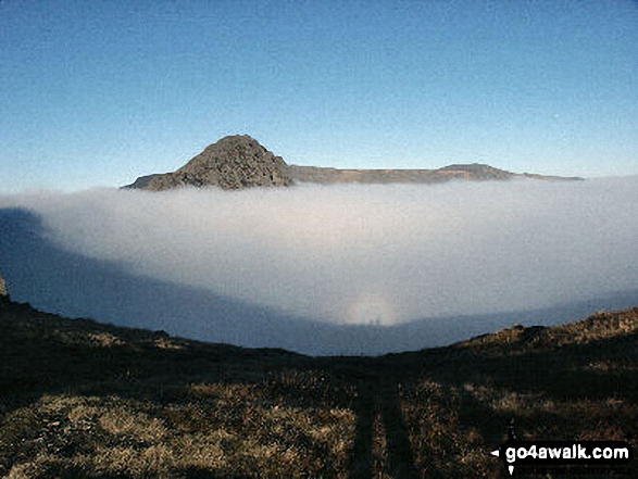 Walk gw102 The Welsh 3000's (Glyderau) from Llanberis - Brocken Spectre with Tryfan beyond