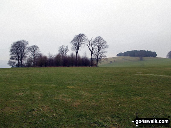 Walk d159 Edensor, Calton Pastures and Lees Moor Wood from Calton Lees - Moatless Plantatiion on Calton Pastures