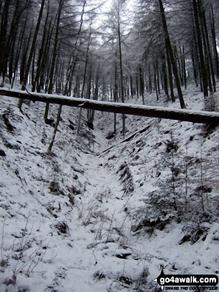 Deep Clough in Wiseman Hey Clough Woods, Winhill Pike (Win Hill) in heavy snow